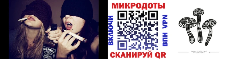 Псилоцибиновые грибы Psilocybe  Суровикино 
